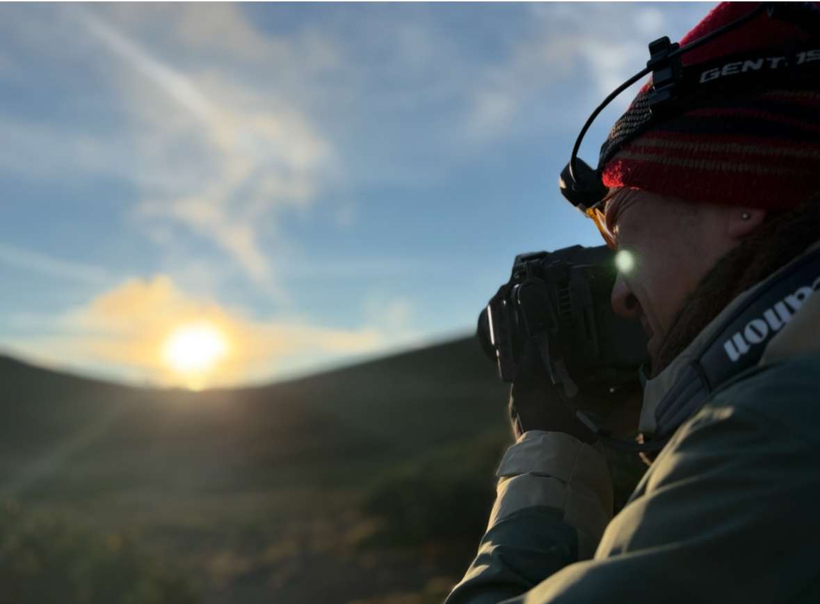 ハミングバードの仕事風景の写真_4